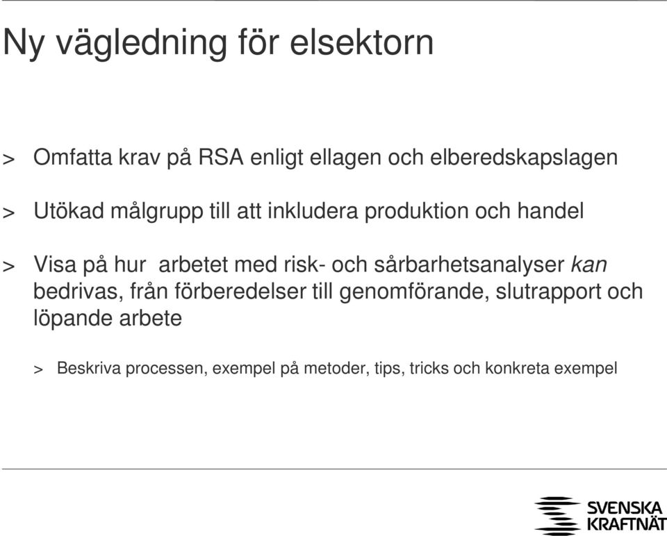 och sårbarhetsanalyser kan bedrivas, från förberedelser till genomförande, slutrapport