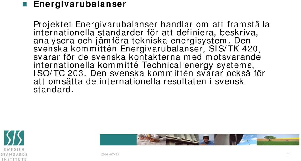 Den svenska kommittén Energivarubalanser, SIS/TK 420, svarar för de svenska kontakterna med motsvarande