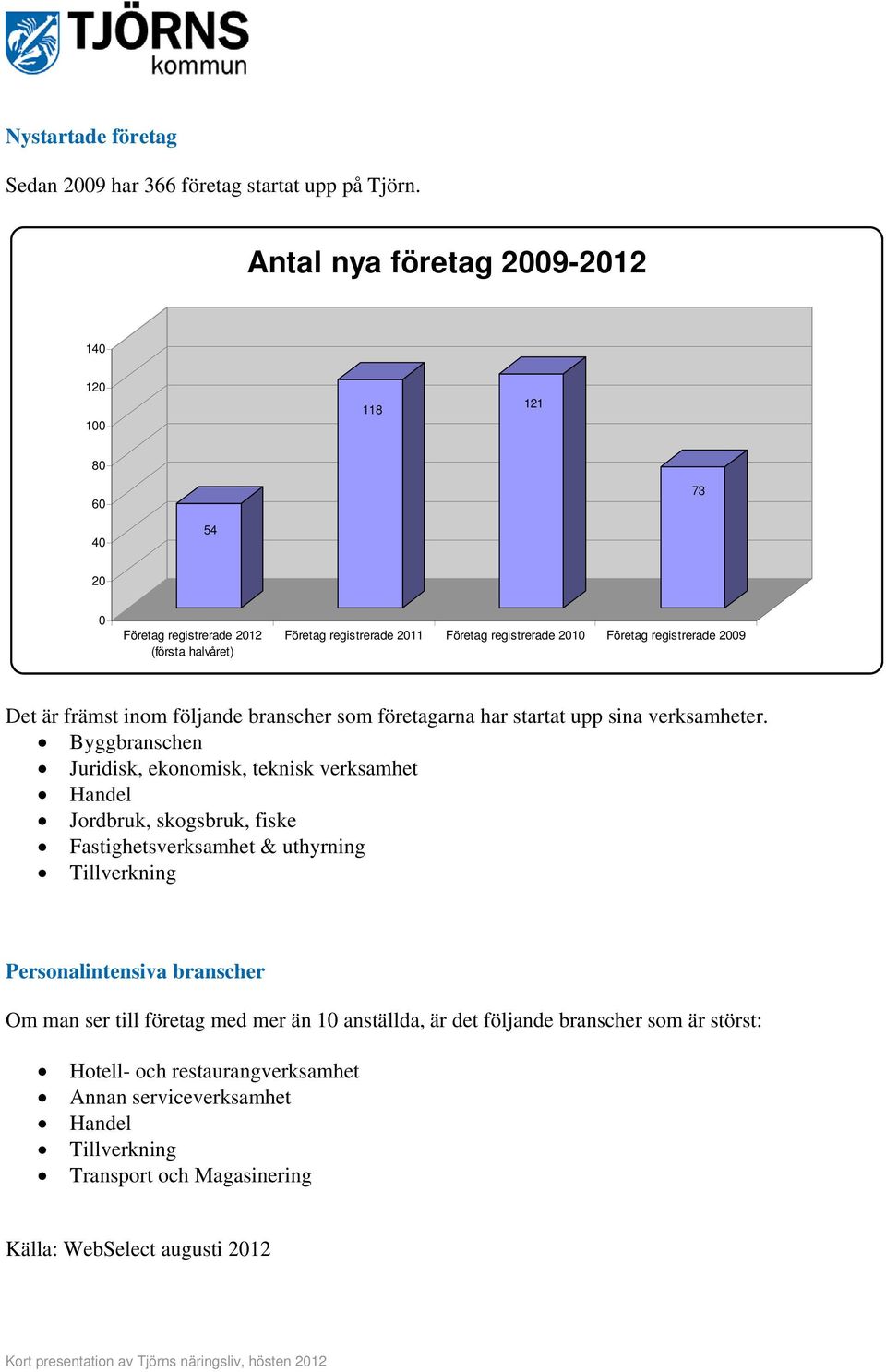 registrerade 2009 Det är främst inom följande branscher som företagarna har startat upp sina verksamheter.