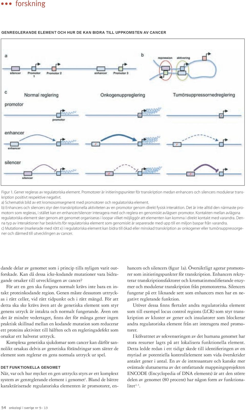 a) Schematisk bild av ett kromosomsegment med promotorer och regulatoriska element. b) Enhancers och silencers styr den transkriptionella aktiviteten av en promotor genom direkt fysisk interaktion.