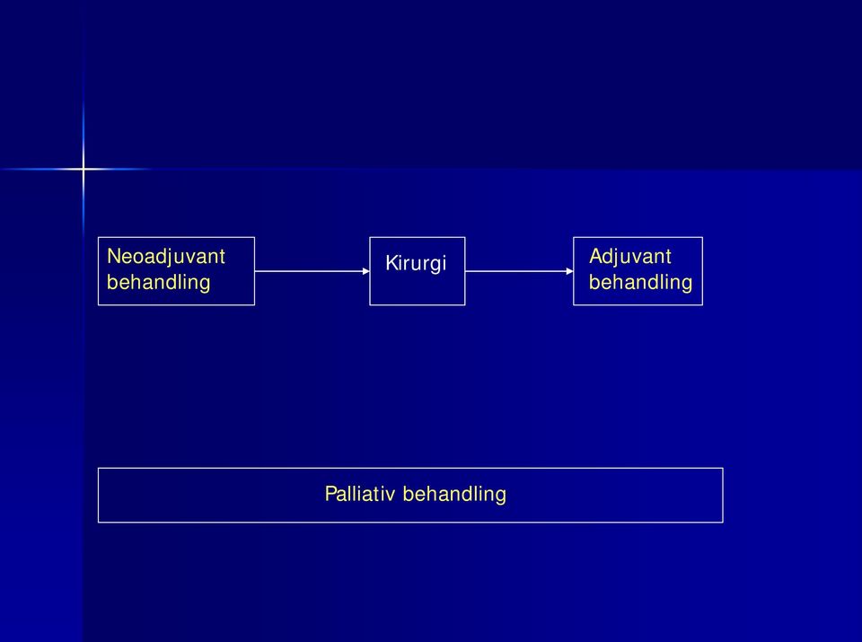 Kirurgi Adjuvant 