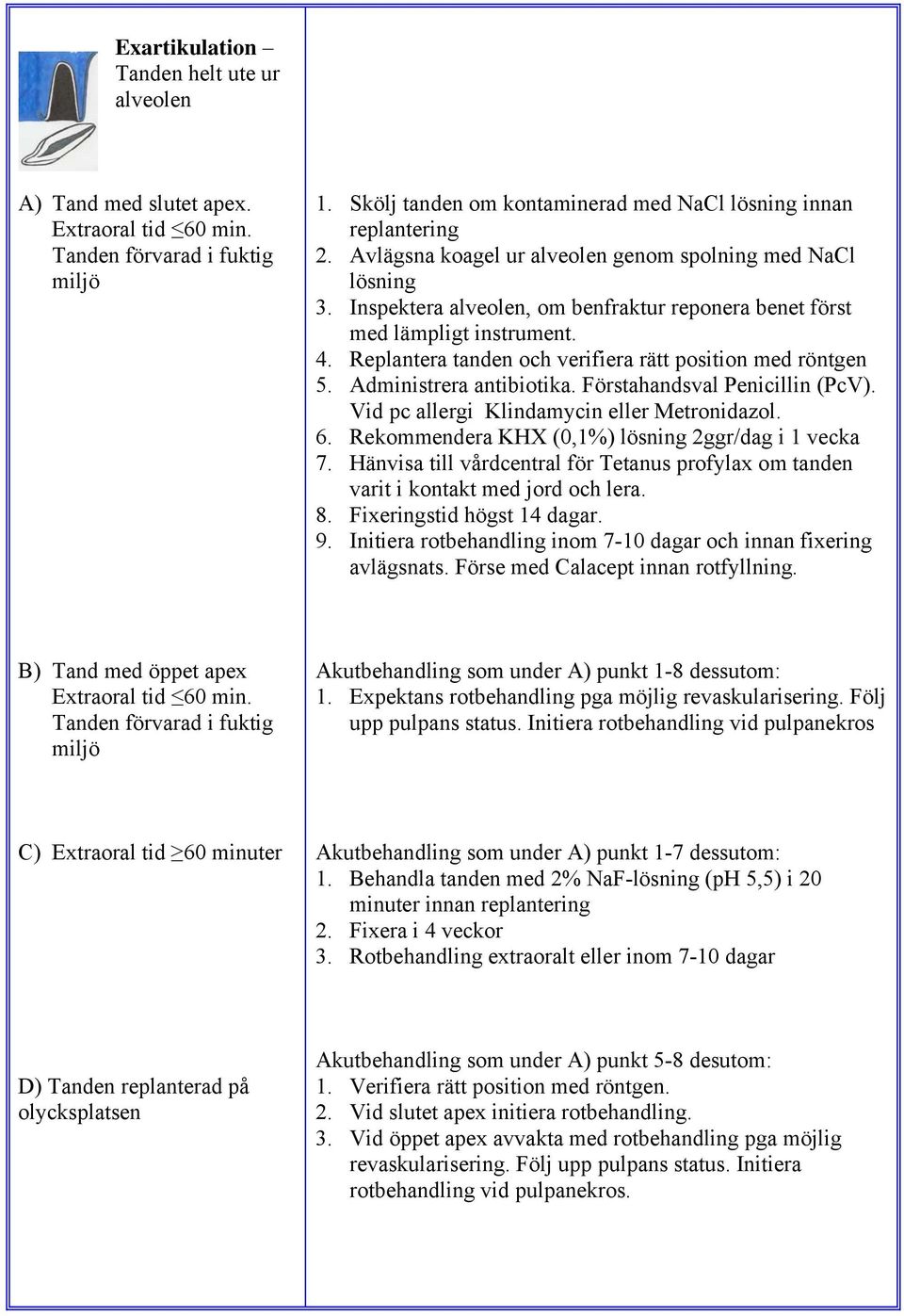 Replantera tanden och verifiera rätt position med röntgen 5. Administrera antibiotika. Förstahandsval Penicillin (PcV). Vid pc allergi Klindamycin eller Metronidazol. 6.