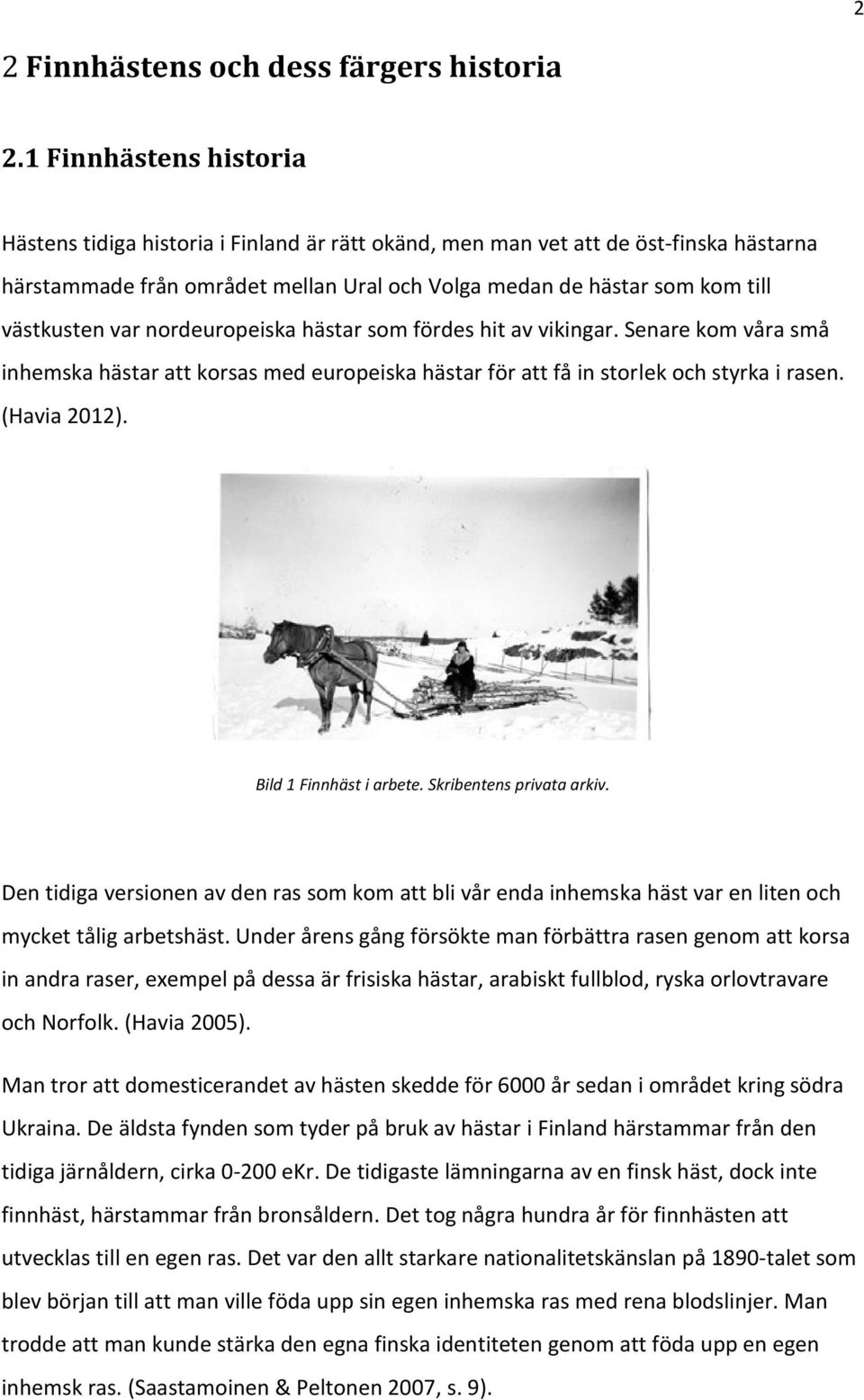 var nordeuropeiska hästar som fördes hit av vikingar. Senare kom våra små inhemska hästar att korsas med europeiska hästar för att få in storlek och styrka i rasen. (Havia 2012).