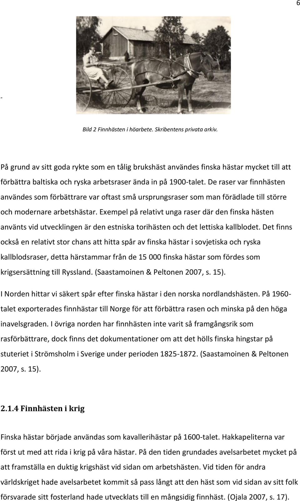 De raser var finnhästen ä sanvändes som förbättrare var oftast små ursprungsraser som man förädlade till större t eoch modernare arbetshästar.