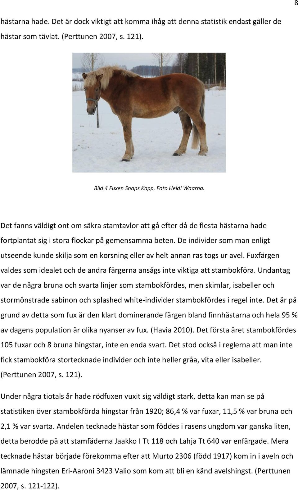 De individer som man enligt utseende kunde skilja som en korsning eller av helt annan ras togs ur avel. Fuxfärgen valdes som idealet och de andra färgerna ansågs inte viktiga att stambokföra.