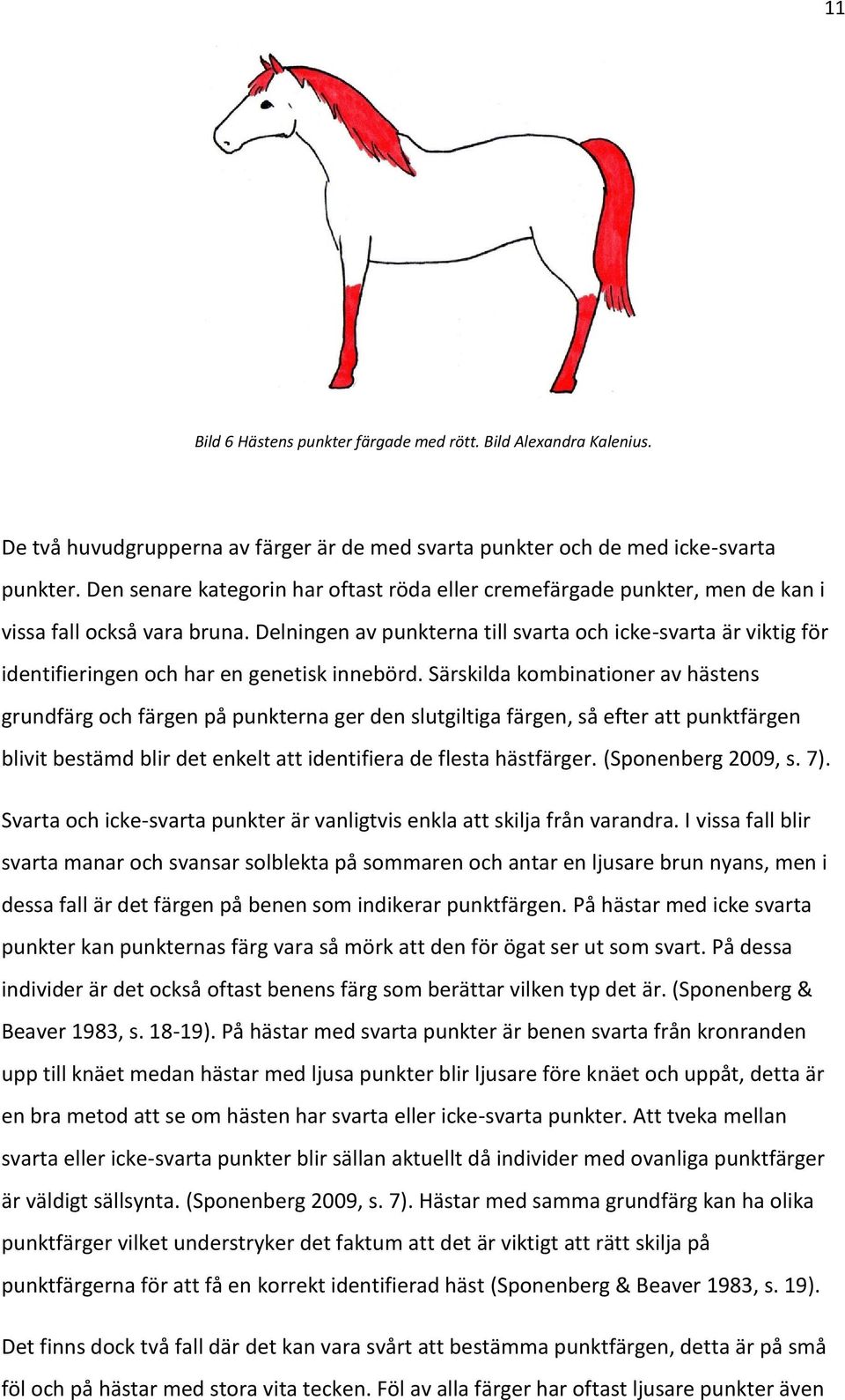 Delningen av punkterna till svarta och icke-svarta är viktig för identifieringen och har en genetisk innebörd.