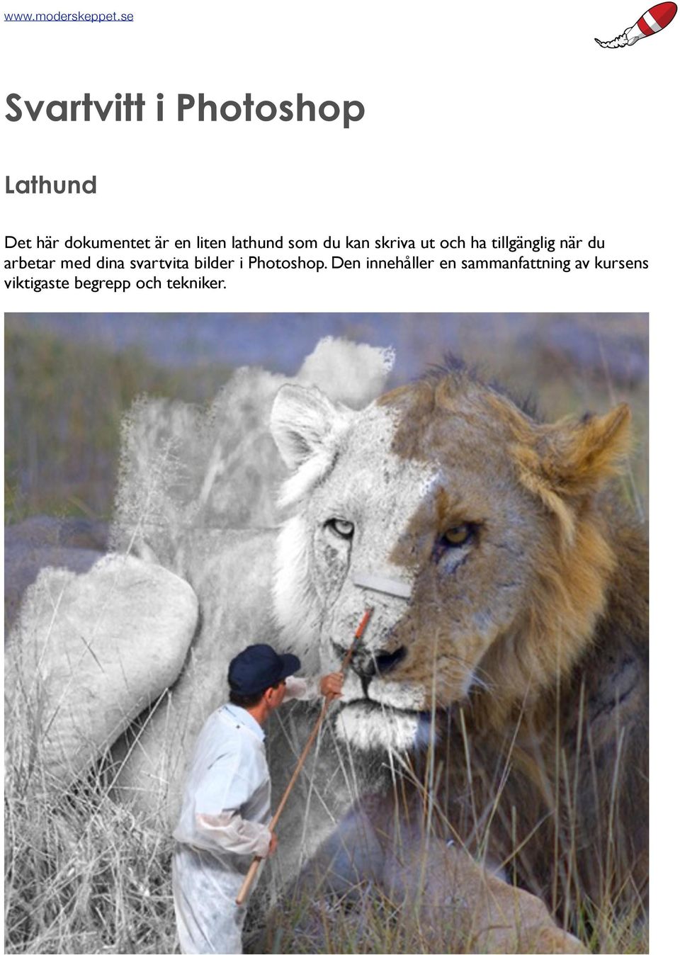du arbetar med dina svartvita bilder i Photoshop.