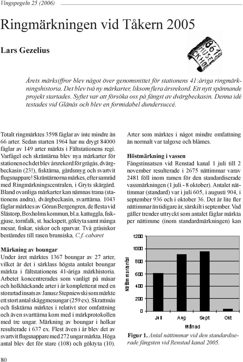 Denna idé testades vid Glänås och blev en formidabel dundersuccé. Totalt ringmärktes 3598 fåglar av inte mindre än 66 arter.