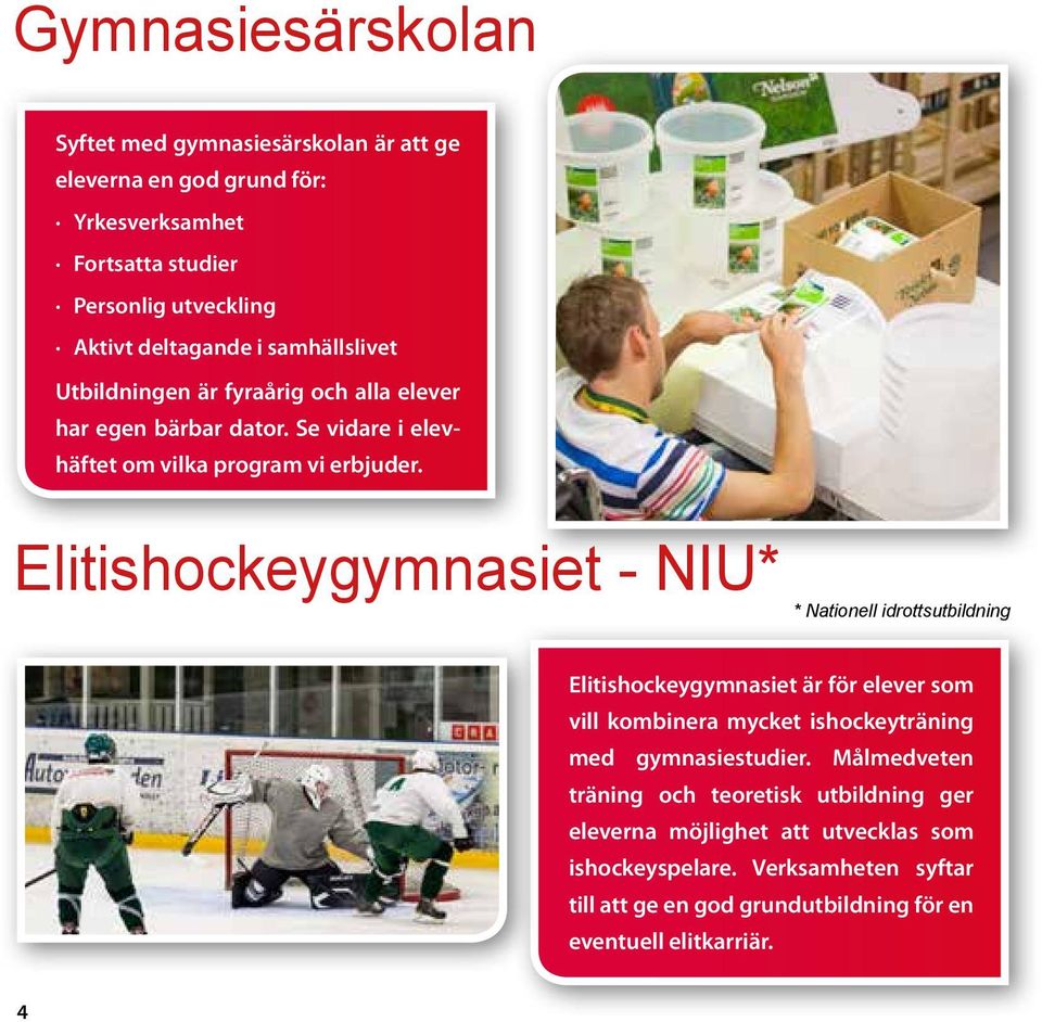 Elitishockeygymnasiet - NIU* * Nationell idrottsutbildning Elitishockeygymnasiet är för elever som vill kombinera mycket ishockeyträning med gymnasiestudier.