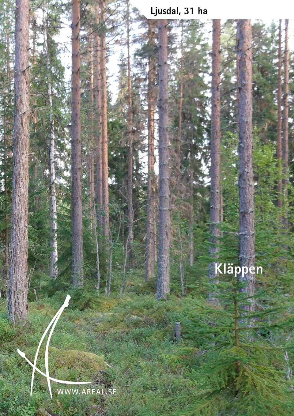 Kläppen 1