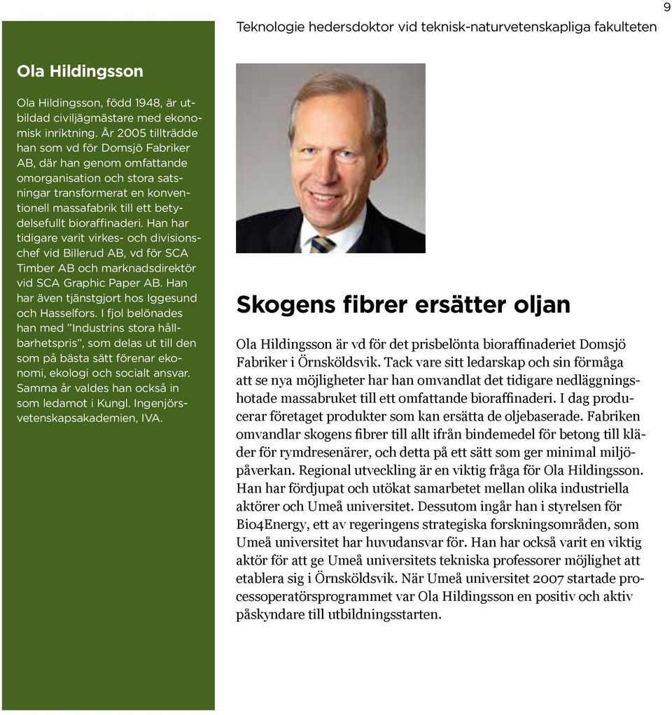 Han har tidigare varit virkes- och divisionschef vid Billerud AB, vd för SCA Timber AB och marknadsdirektör vid SCA Graphic Paper AB. Han har även tjänstgjort hos Iggesund och Hasselfors.