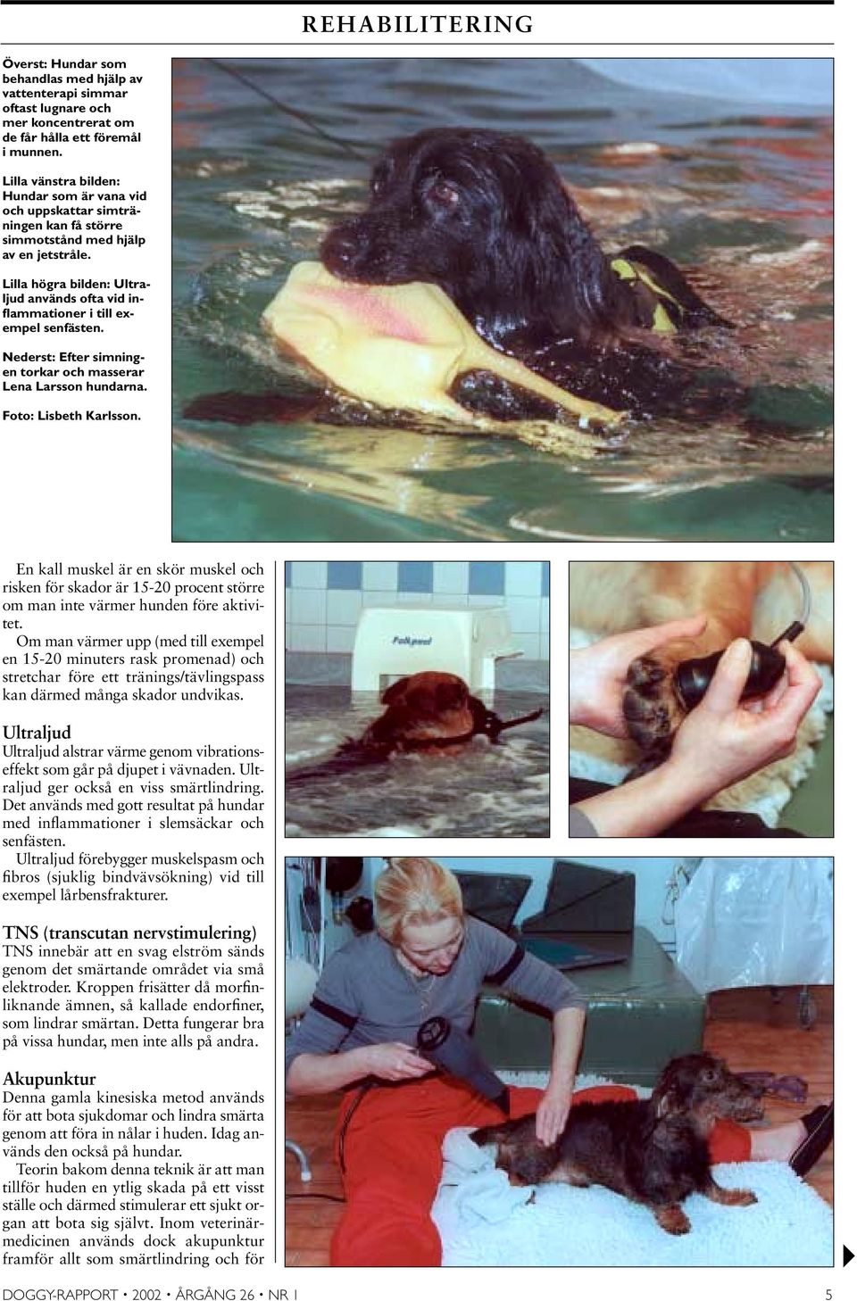 Lilla högra bilden: Ultraljud används ofta vid inflammationer i till exempel senfästen. Nederst: Efter simningen torkar och masserar Lena Larsson hundarna. Foto: Lisbeth Karlsson.
