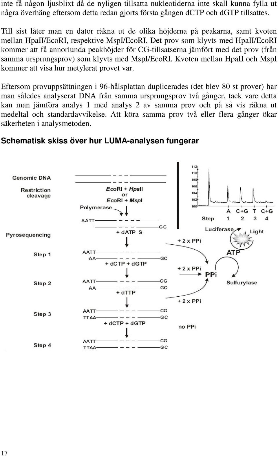 Det prov som klyvts med HpaII/EcoRI kommer att få annorlunda peakhöjder för CG-tillsatserna jämfört med det prov (från samma ursprungsprov) som klyvts med MspI/EcoRI.