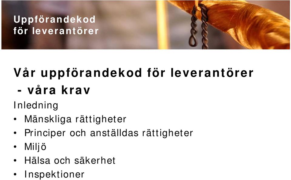 Inledning Mänskliga rättigheter Principer och