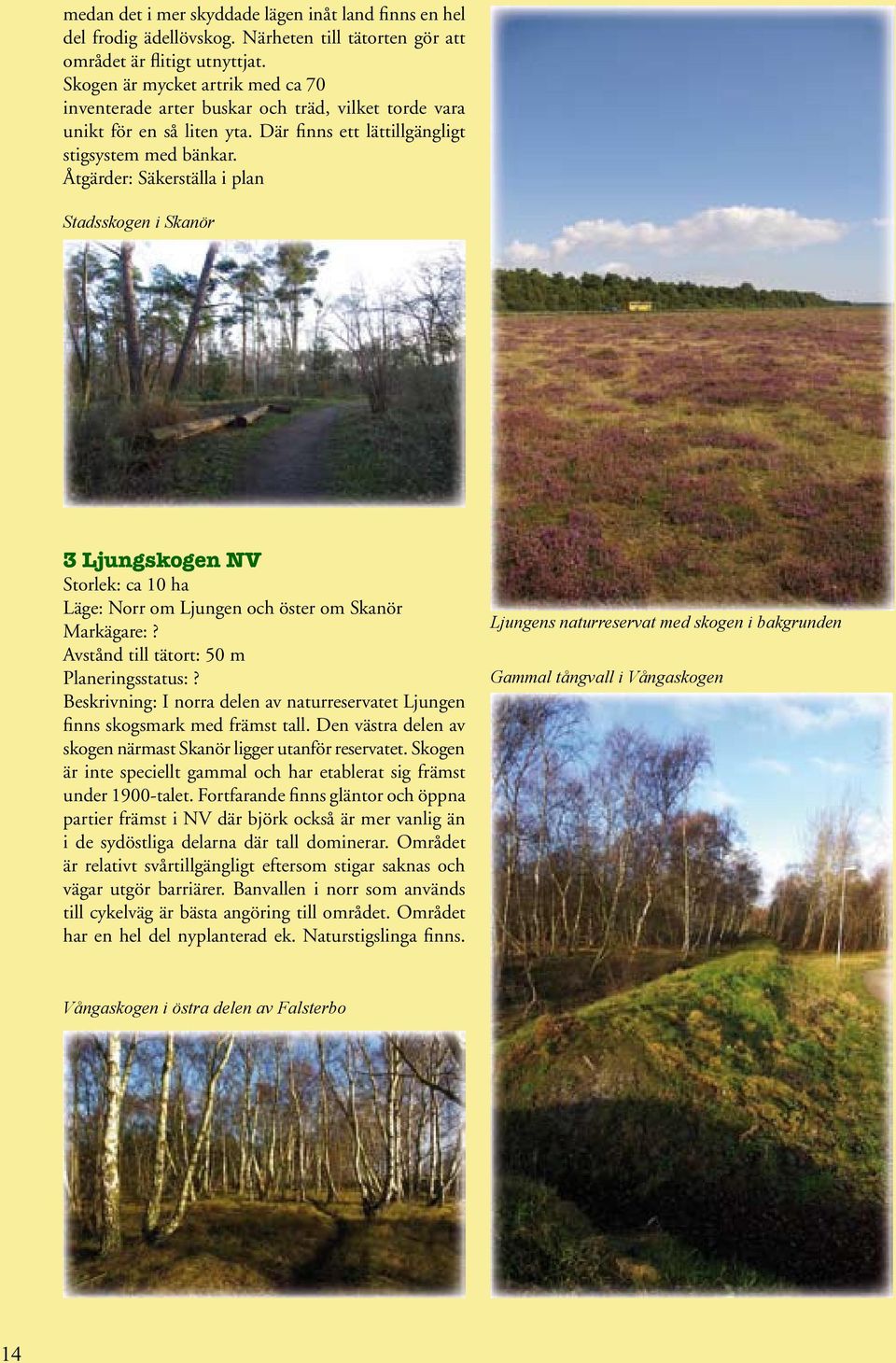 Åtgärder: Säkerställa i plan Stadsskogen i Skanör 3 Ljungskogen NV Storlek: ca 0 ha Läge: Norr om Ljungen och öster om Skanör Avstånd till tätort: 50 m Beskrivning: I norra delen av naturreservatet