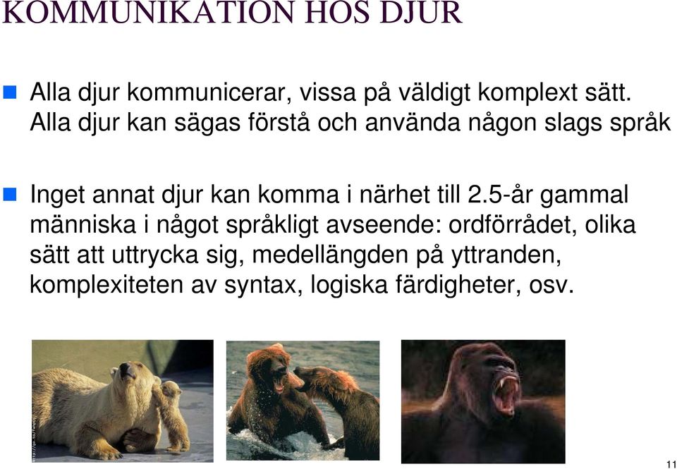 närhet till 2.