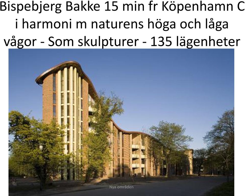 naturens höga och låga vågor