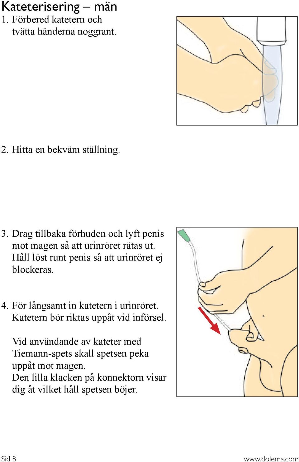 Håll löst runt penis så att urinröret ej blockeras. 4. För långsamt in katetern i urinröret.