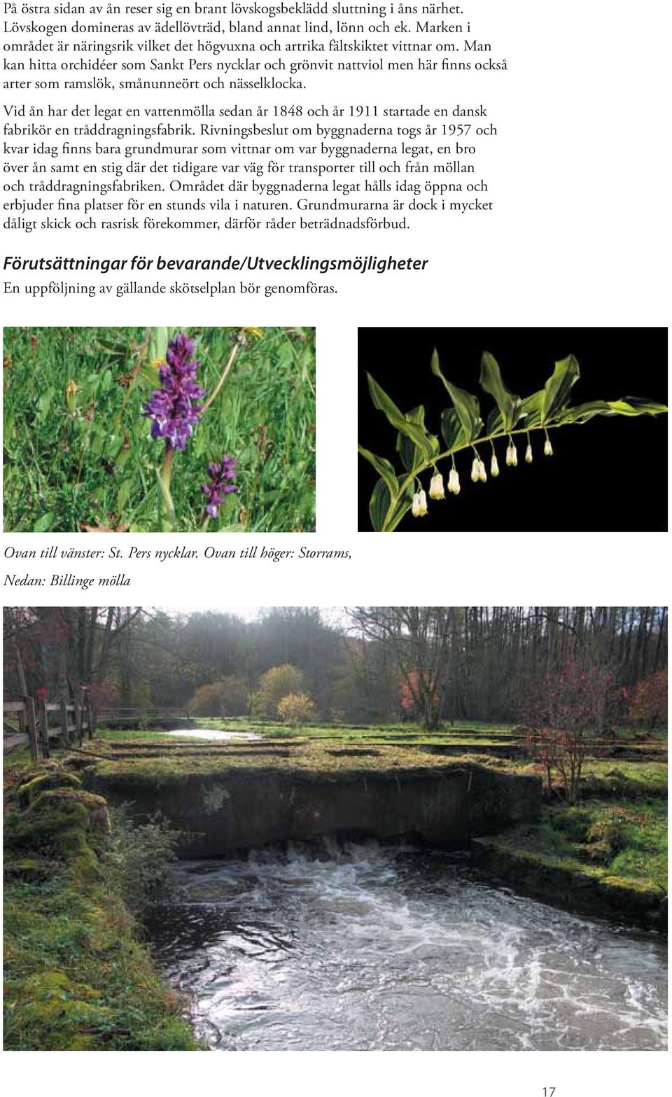 Man kan hitta orchidéer som Sankt Pers nycklar och grönvit nattviol men här finns också arter som ramslök, smånunneört och nässelklocka.