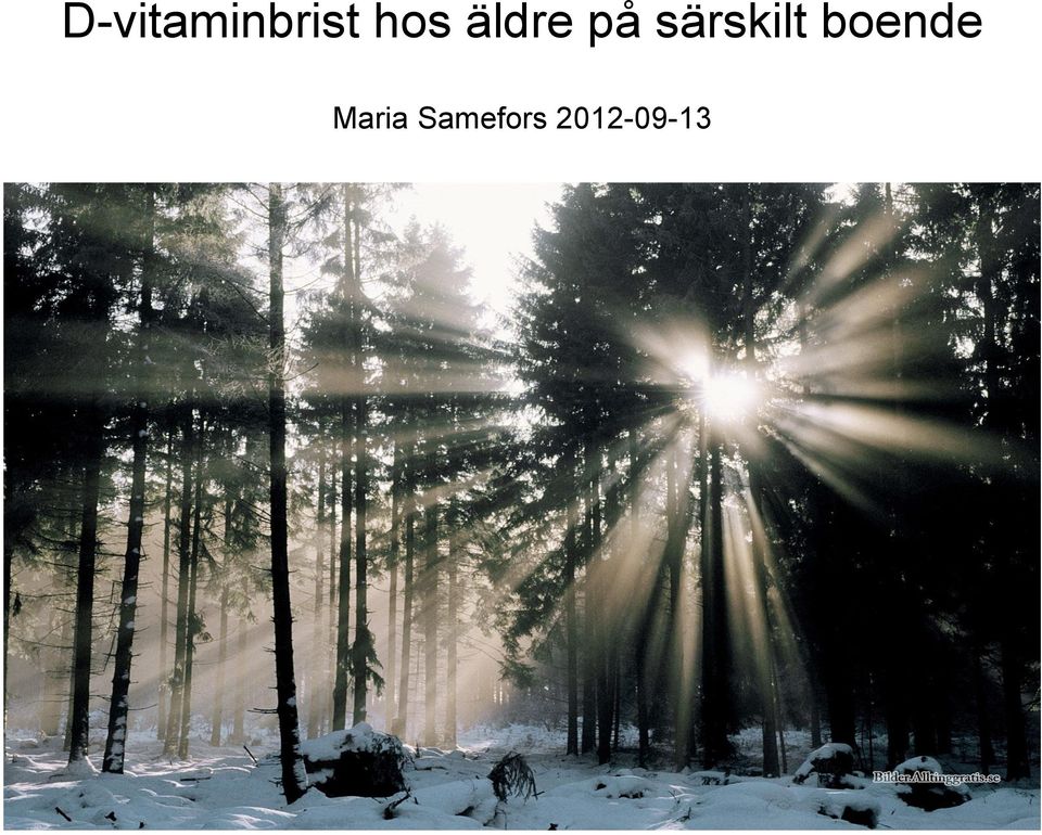 särskilt boende