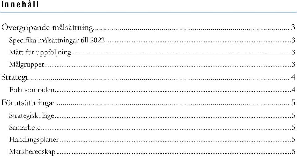 .. 3 Målgrupper... 3 Strategi... 4 Fokusområden.