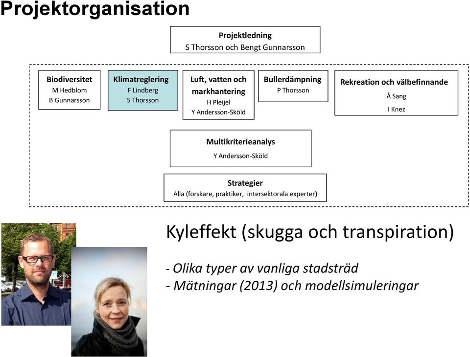 Rekreation och välbefinnande Å Sang I Knez Multikriterieanalys Strategier Alla (forskare, praktiker,