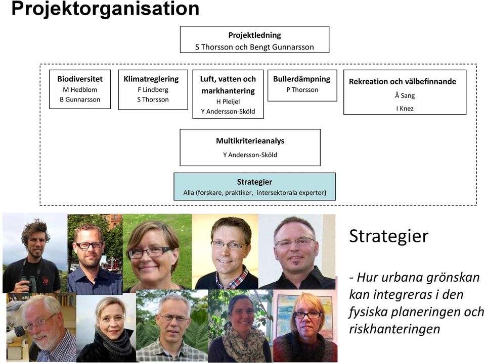 Rekreation och välbefinnande Å Sang I Knez Multikriterieanalys Strategier Alla (forskare, praktiker,
