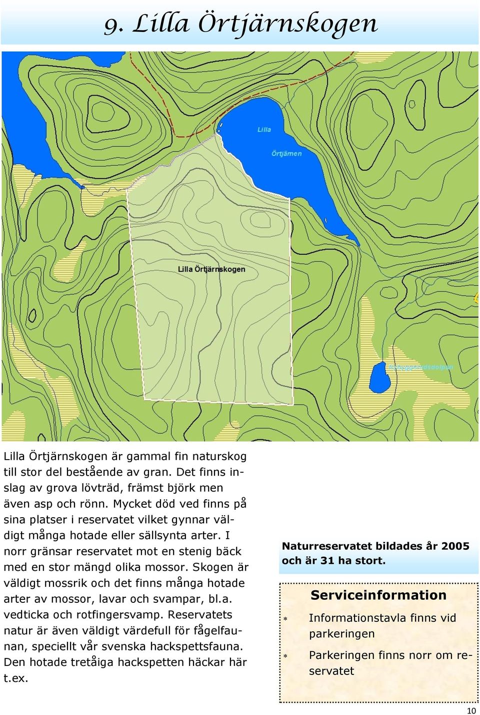 Skogen är väldigt mossrik och det finns många hotade arter av mossor, lavar och svampar, bl.a. vedticka och rotfingersvamp.