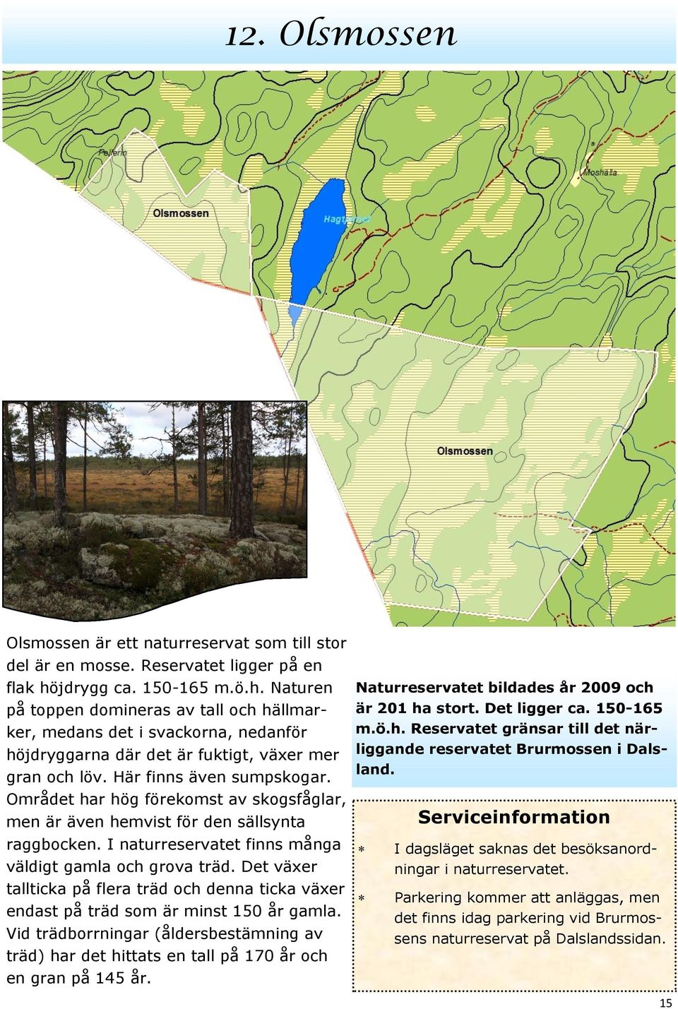 Området har hög förekomst av skogsfåglar, men är även hemvist för den sällsynta raggbocken. I naturreservatet finns många väldigt gamla och grova träd.