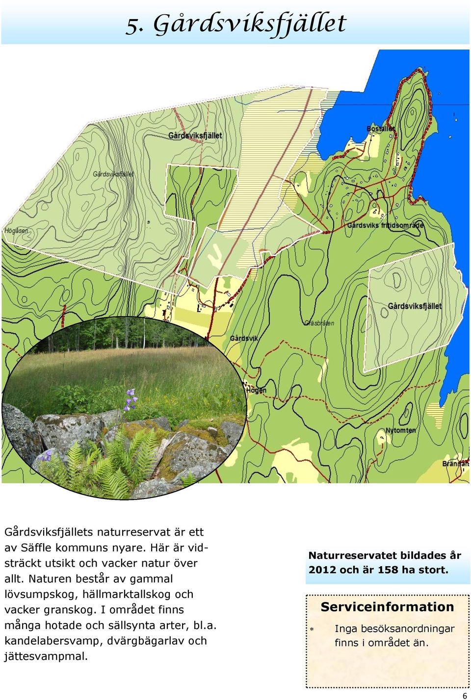 Naturen består av gammal lövsumpskog, hällmarktallskog och vacker granskog.