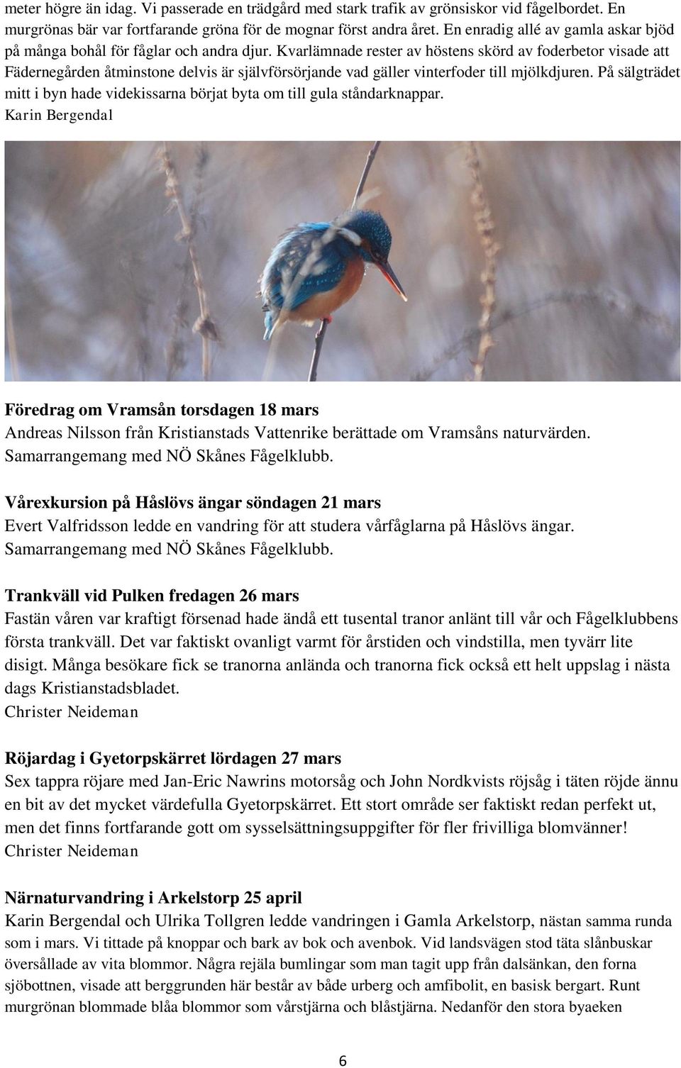 Kvarlämnade rester av höstens skörd av foderbetor visade att Fädernegården åtminstone delvis är självförsörjande vad gäller vinterfoder till mjölkdjuren.
