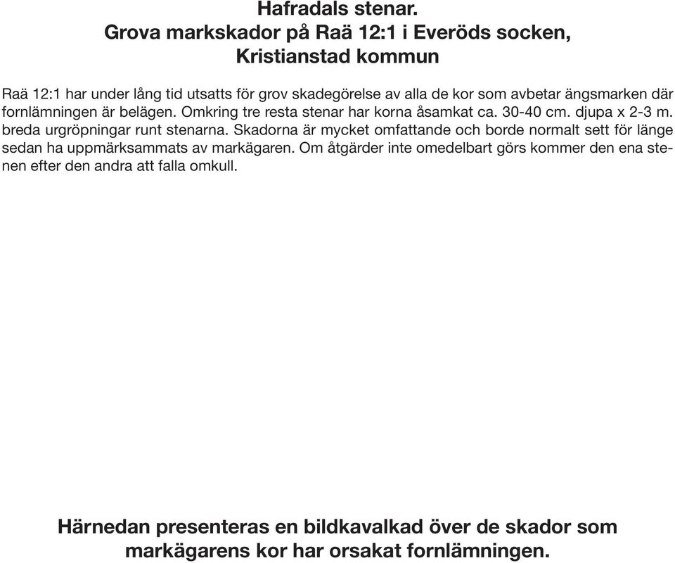 ängsmarken där fornlämningen är belägen. Omkring tre resta stenar har korna åsamkat ca. 30-40 cm. djupa x 2-3 m. breda urgröpningar runt stenarna.