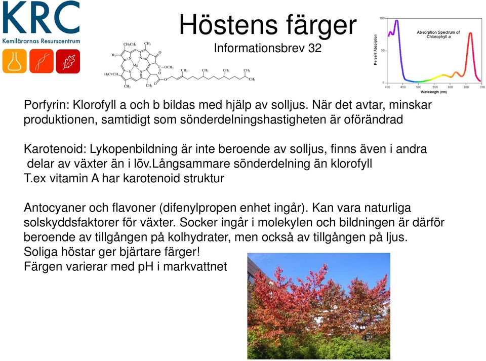 växter än i löv.långsammare sönderdelning än klorofyll T.ex vitamin A har karotenoid struktur Antocyaner och flavoner (difenylpropen enhet ingår).