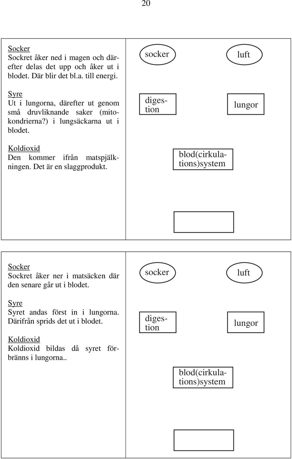 socker blod(cirkulations)system digestion luft lungor Koldioxid Den kommer ifrån matspjälkningen. Det är en slaggprodukt.