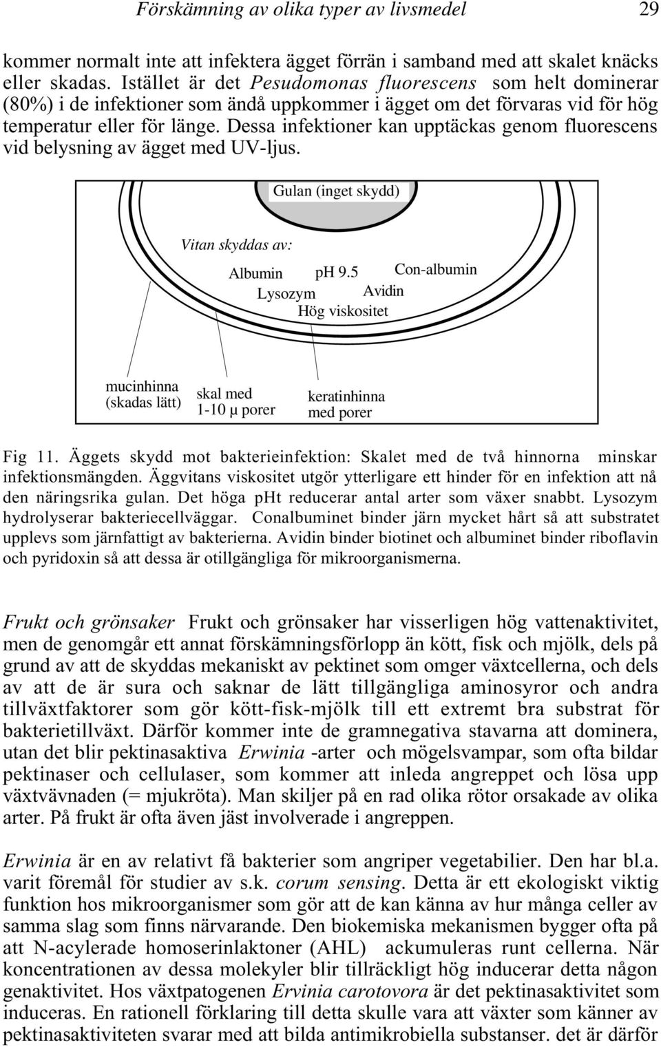 Dessa infektioner kan upptäckas genom fluorescens vid belysning av ägget med UV-ljus. Gulan (inget skydd) Vitan skyddas av: Albumin ph 9.