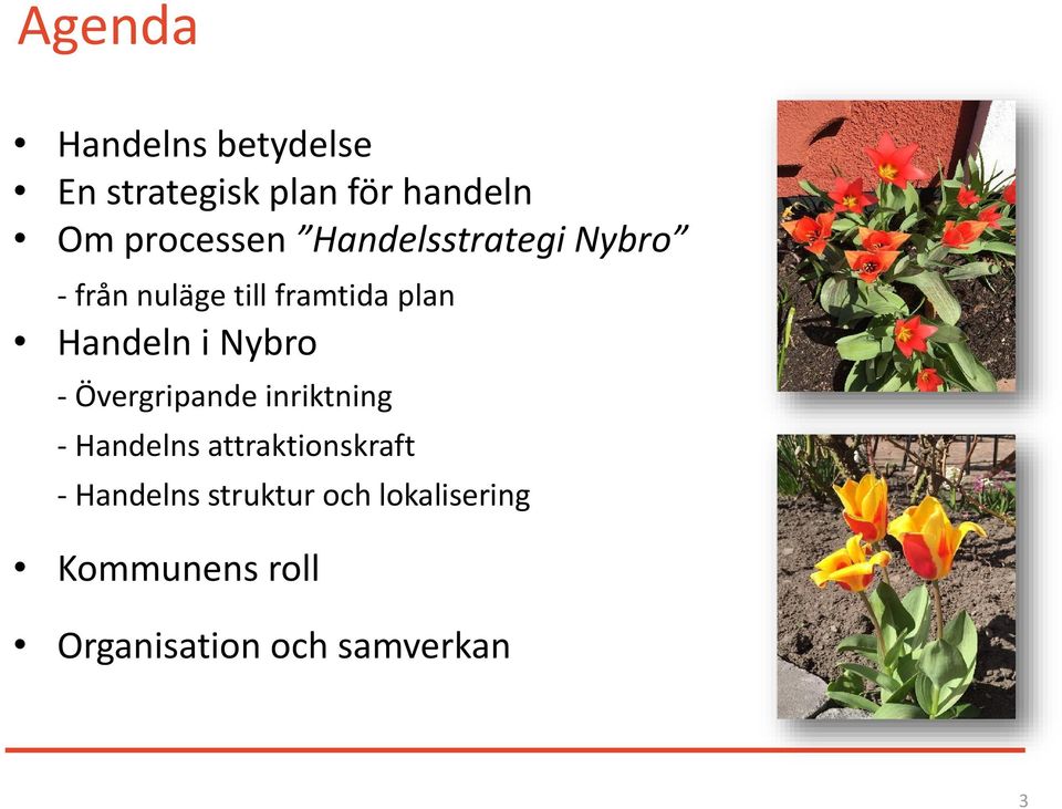 Handeln i Nybro - Övergripande inriktning - Handelns