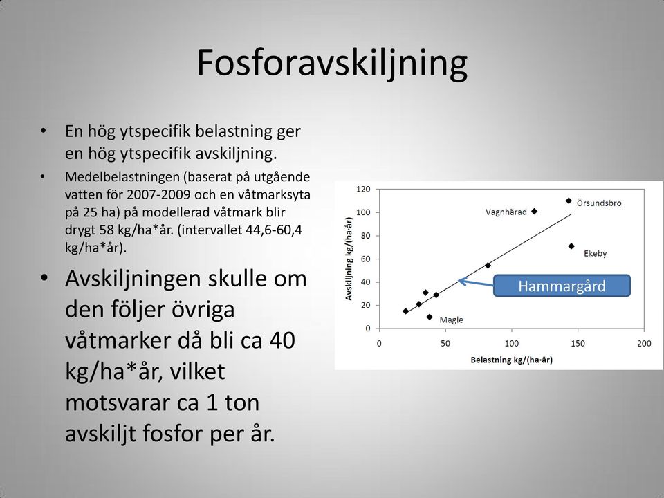 modellerad våtmark blir drygt 58 kg/ha*år. (intervallet 44,6-60,4 kg/ha*år).