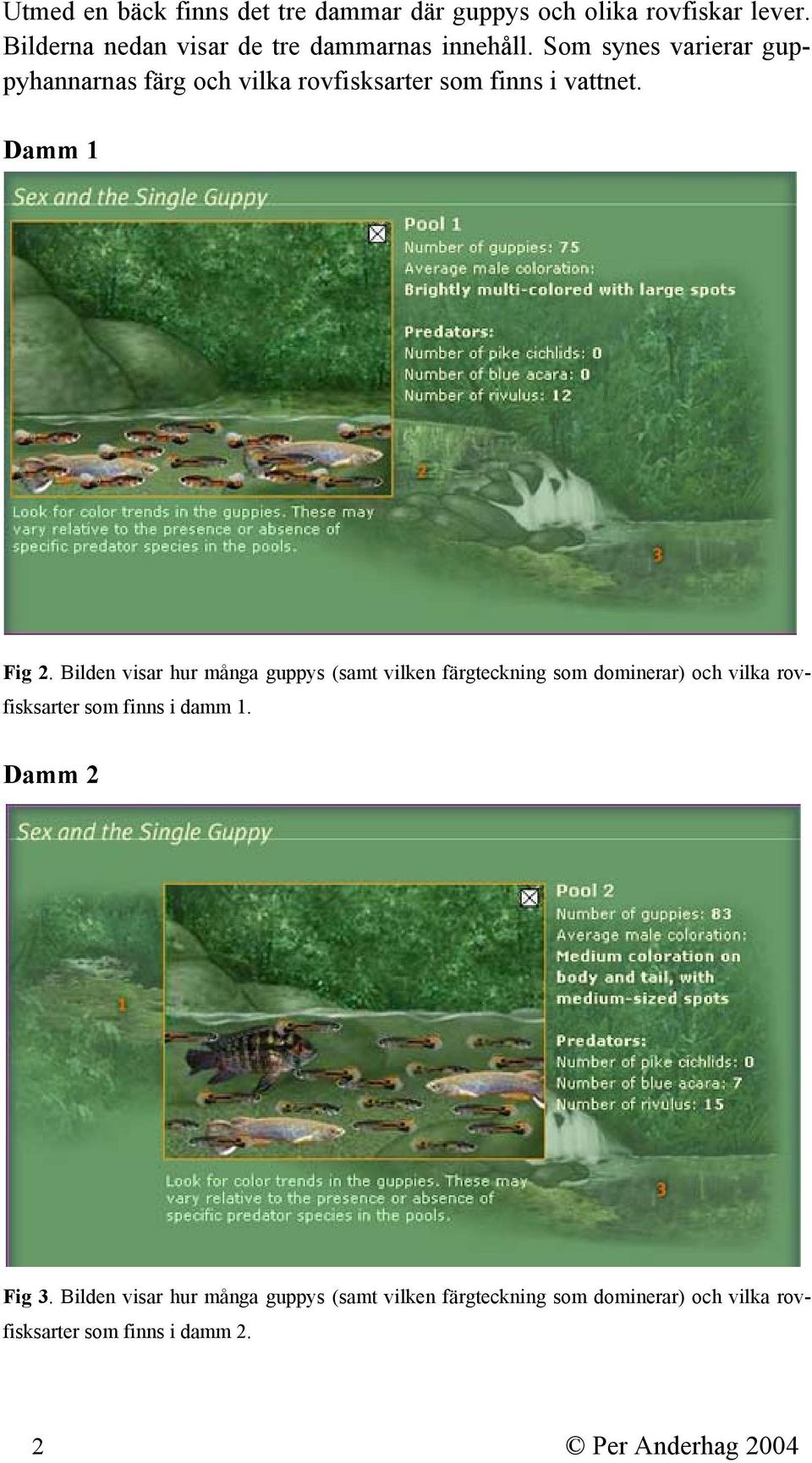 Som synes varierar guppyhannarnas färg och vilka rovfisksarter som finns i vattnet. Damm 1 Fig 2.