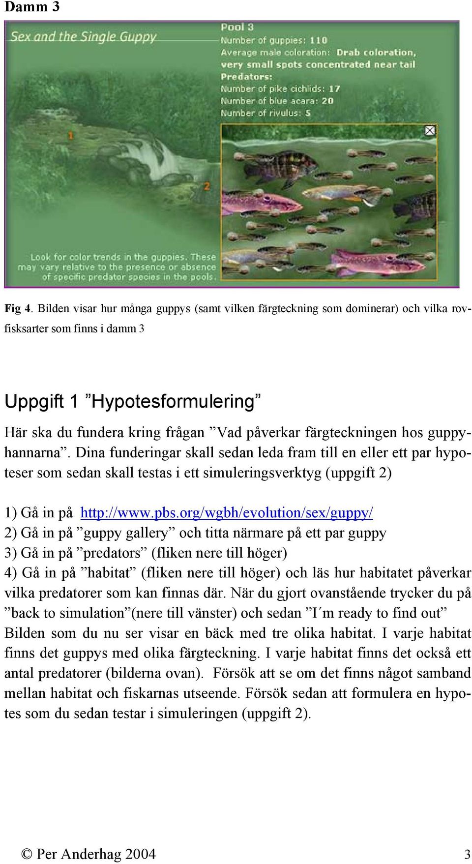 färgteckningen hos guppyhannarna. Dina funderingar skall sedan leda fram till en eller ett par hypoteser som sedan skall testas i ett simuleringsverktyg (uppgift 2) 1) Gå in på http://www.pbs.