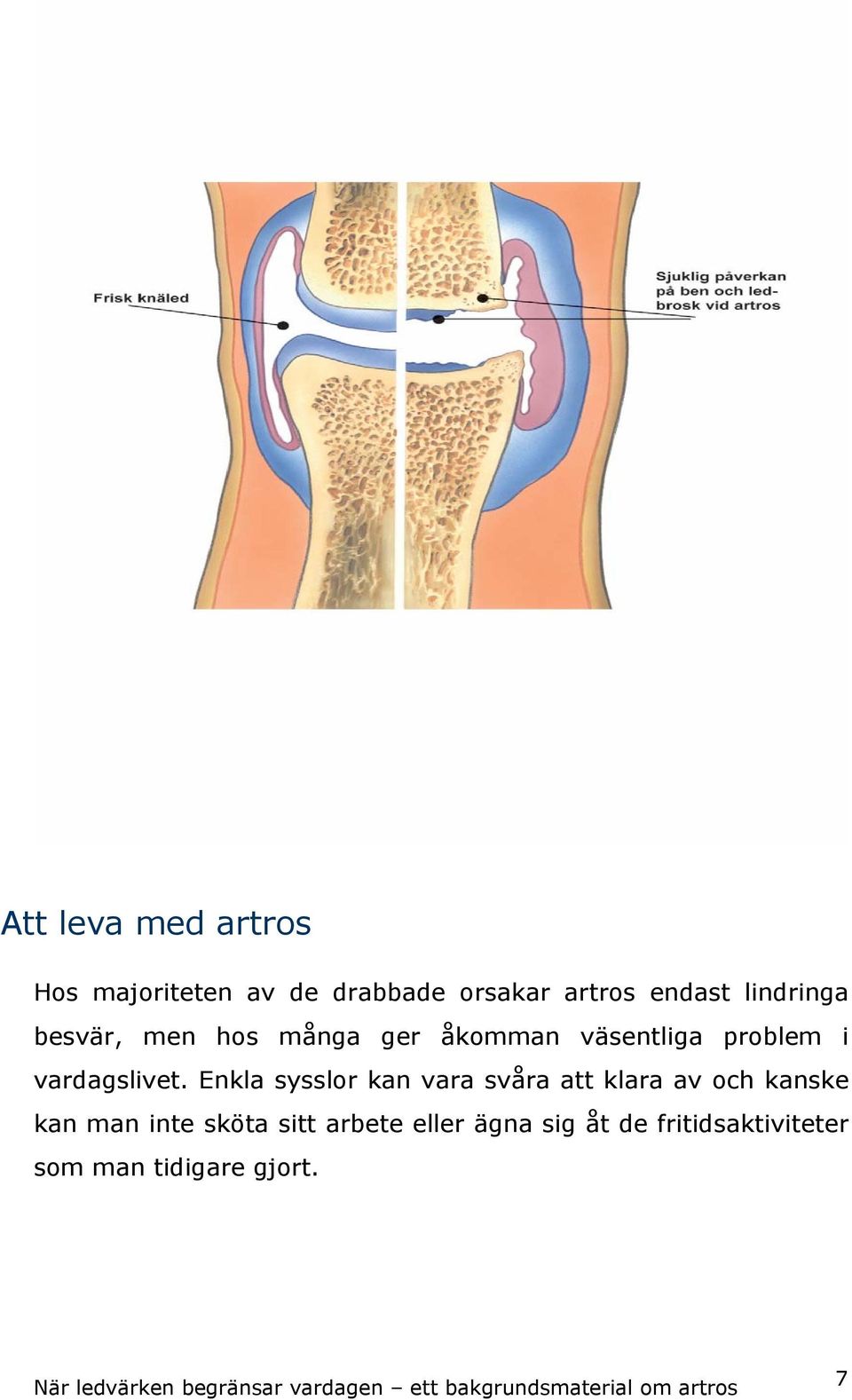 vardagslivet.