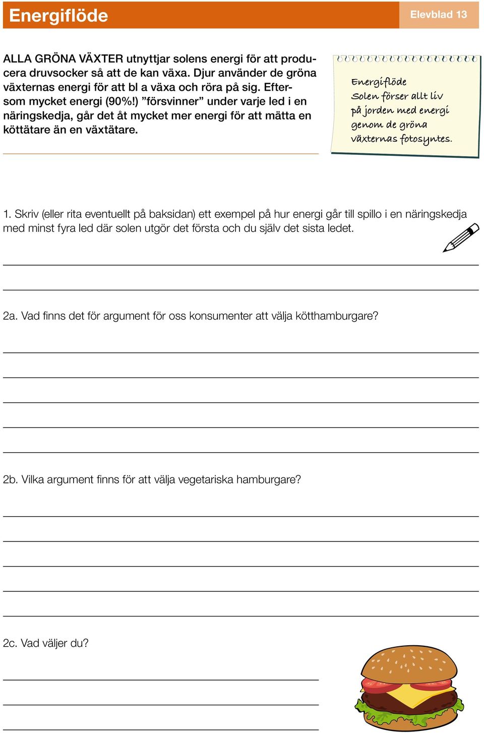 Energiflöde Solen förser allt liv på jorden med energi genom de gröna växternas fotosyntes. 1.