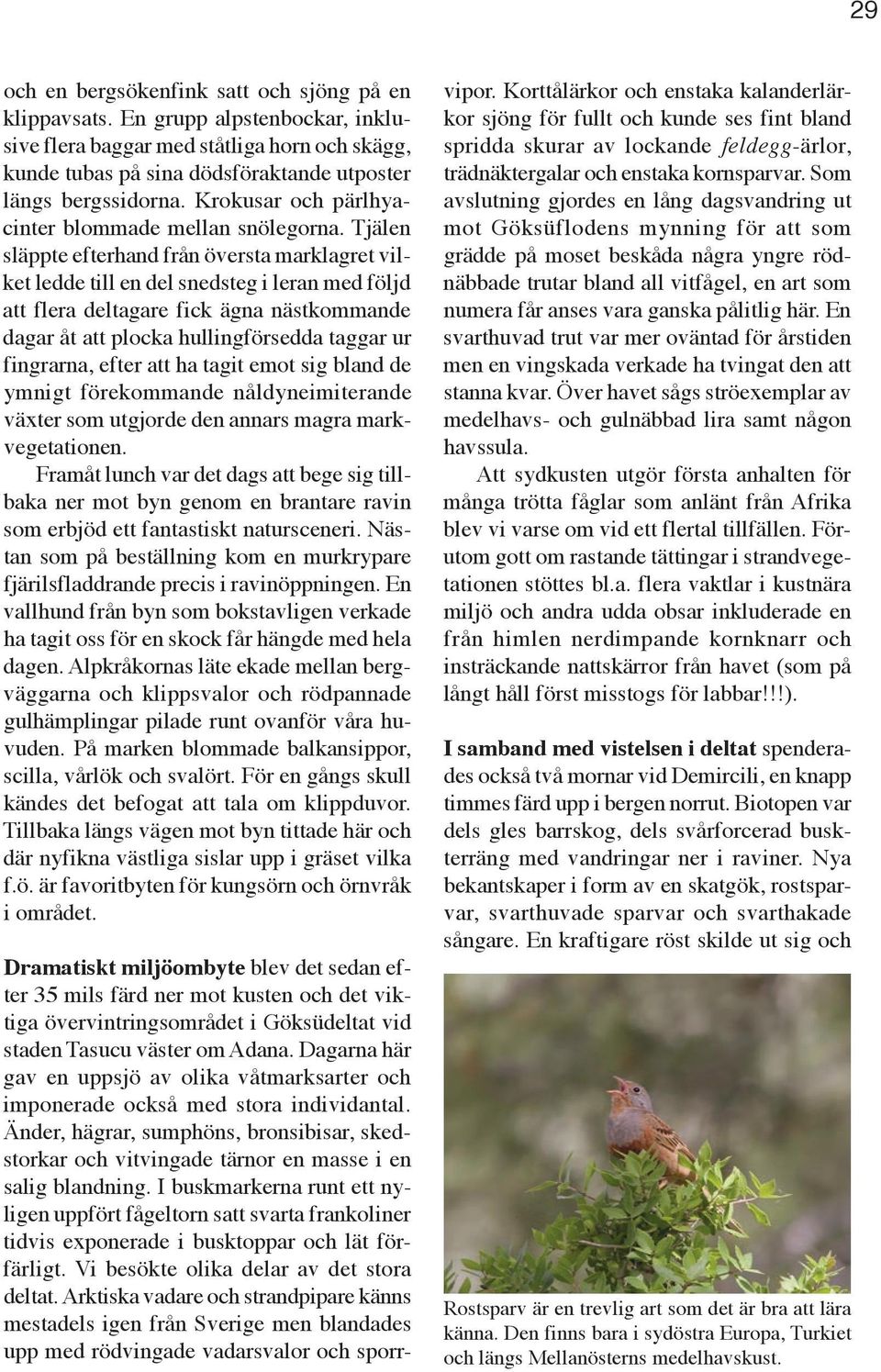 Tjälen släppte efterhand från översta marklagret vilket ledde till en del snedsteg i leran med följd att flera deltagare fick ägna nästkommande dagar åt att plocka hullingförsedda taggar ur