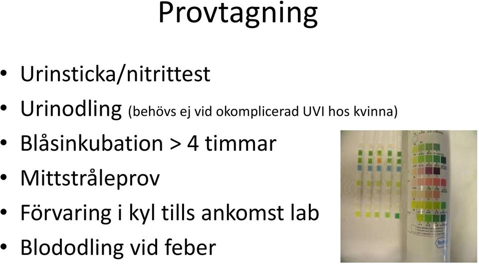 Blåsinkubation > 4 timmar Mittstråleprov
