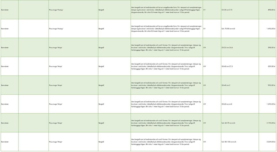I-V 25-30 cm C10 498,00 kr   I-V Sol. 70-80 cm m.kl 1 695,00 kr Barrväxter Pinus mugo 'Mops' Bergtall Liten bergtall som är bredväxande och rund i formen. Fin i stenparti och samplanteringar.