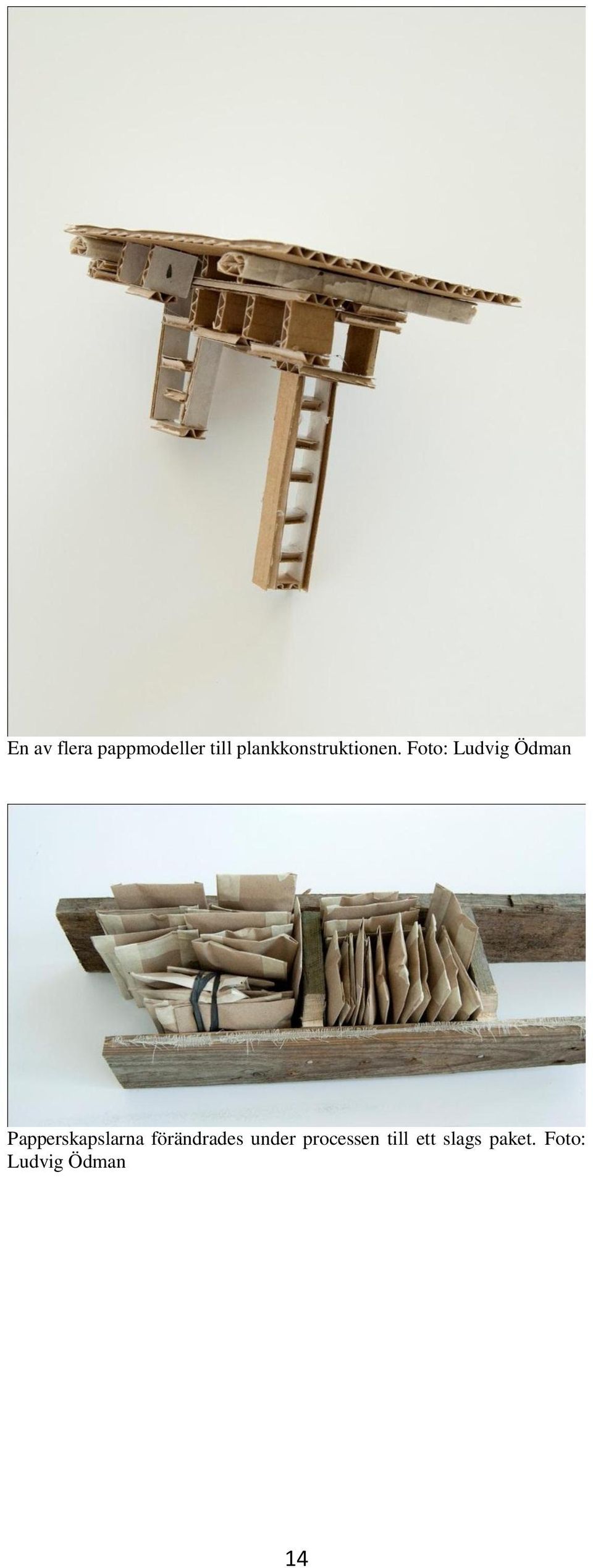 Foto: Ludvig Ödman Papperskapslarna