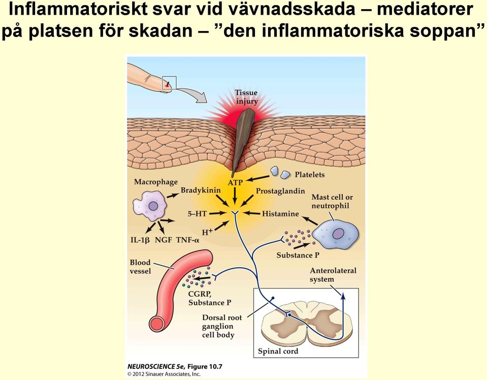 på platsen för skadan