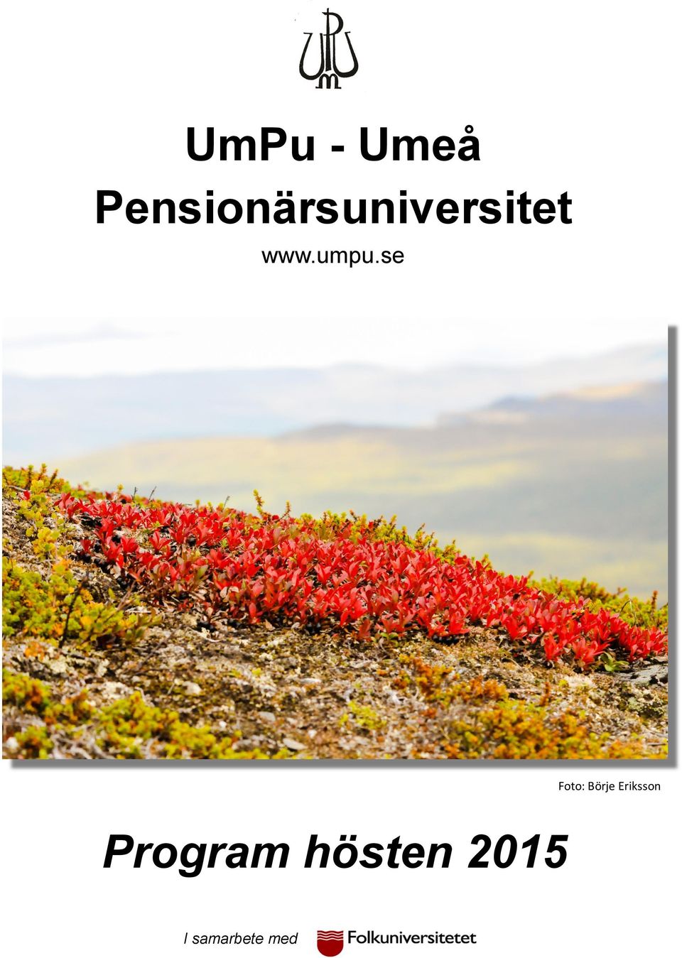 se Foto: Kennet Hedberg Foto: