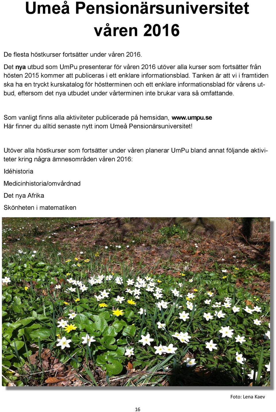 Tanken är att vi i framtiden ska ha en tryckt kurskatalog för höstterminen och ett enklare informationsblad för vårens utbud, eftersom det nya utbudet under vårterminen inte brukar vara så omfattande.