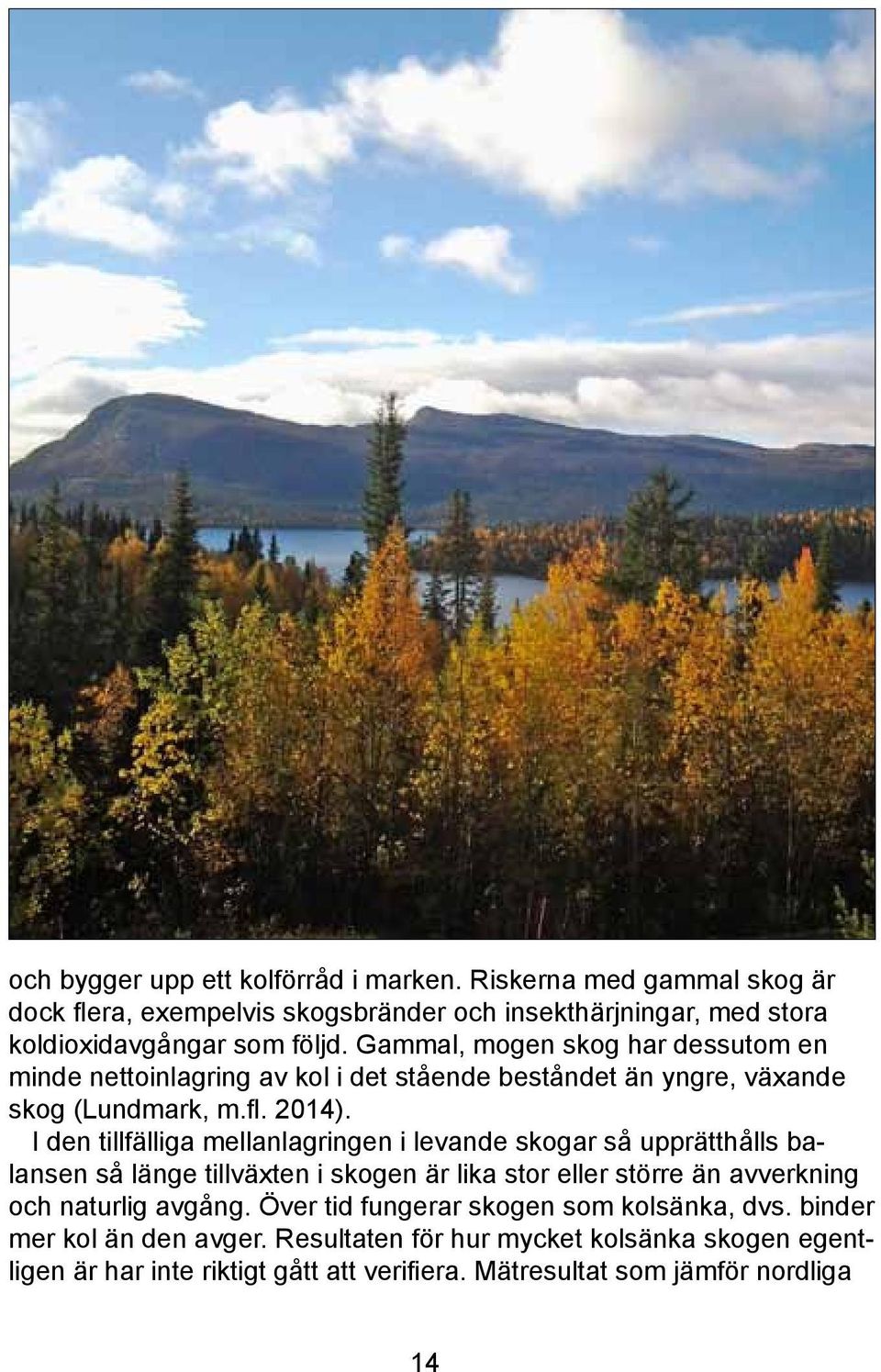 I den tillfälliga mellanlagringen i levande skogar så upprätthålls balansen så länge tillväxten i skogen är lika stor eller större än avverkning och naturlig avgång.