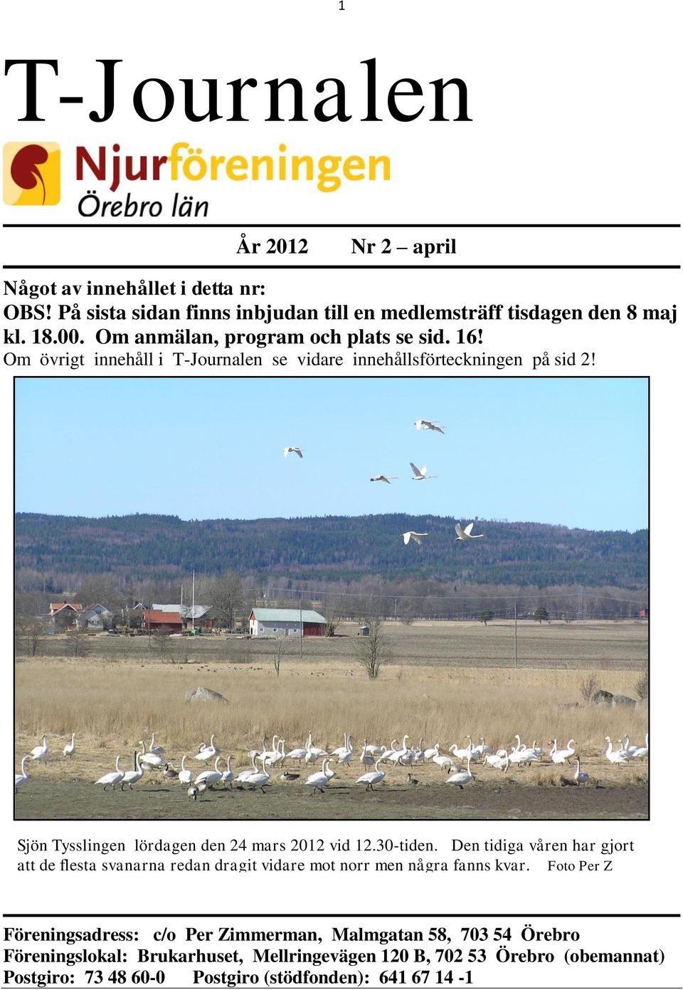 Sjön Tysslingen lördagen den 24 mars 2012 vid 12.30-tiden. Den tidiga våren har gjort att de flesta svanarna redan dragit vidare mot norr men några fanns kvar.
